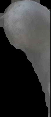 Crop