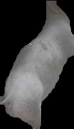 Crop