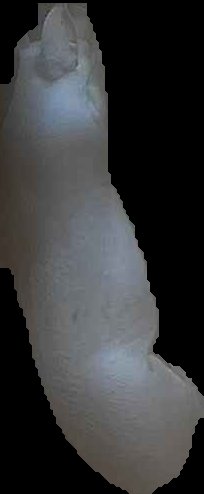 Crop