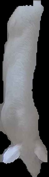 Crop