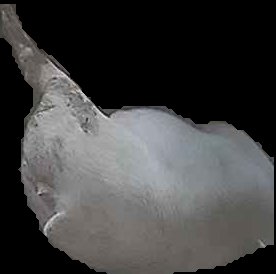 Crop