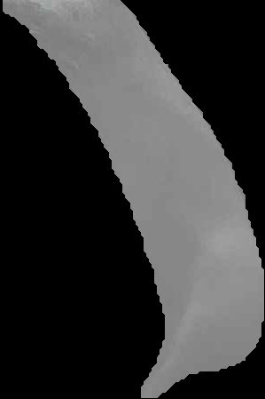 Crop