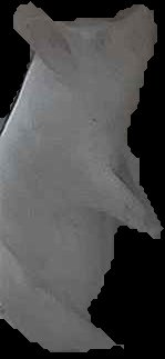 Crop
