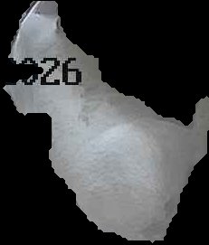 Crop