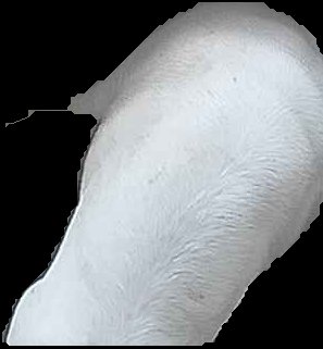 Crop