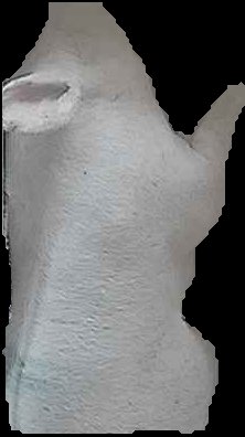 Crop