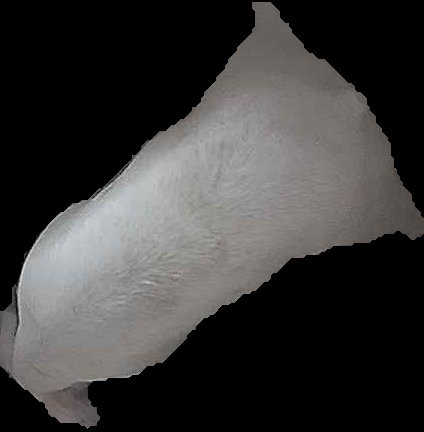 Crop