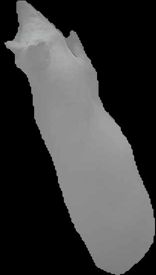 Crop