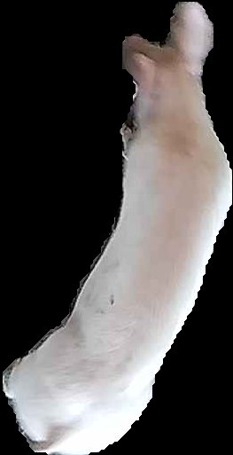 Crop