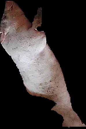 Crop