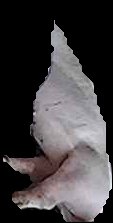 Crop