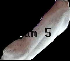 Crop