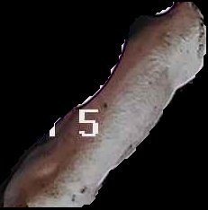 Crop