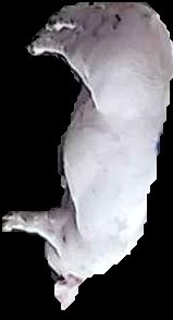 Crop