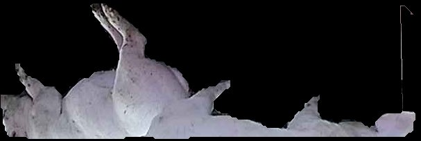 Crop