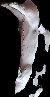 Crop