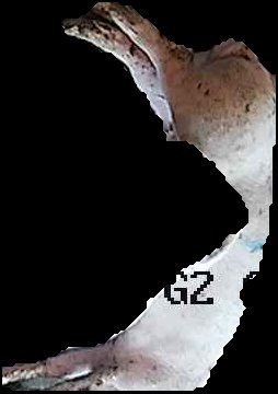 Crop