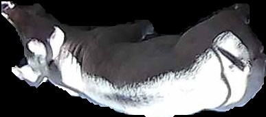 Crop