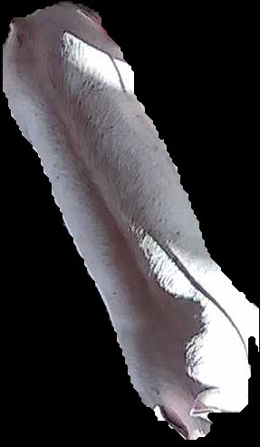 Crop