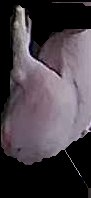 Crop