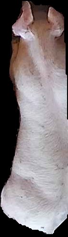 Crop