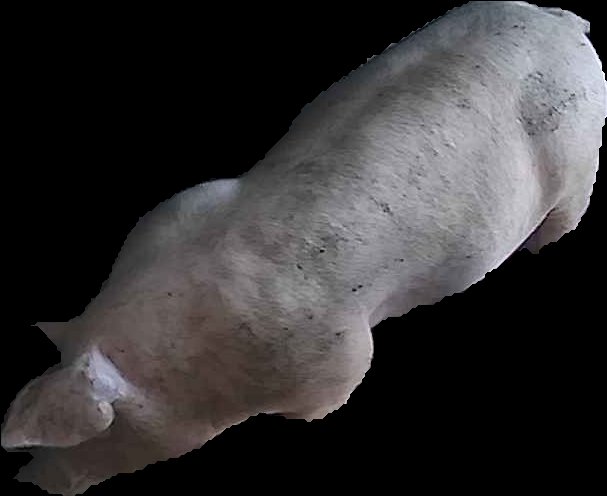 Crop