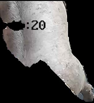 Crop