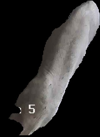 Crop