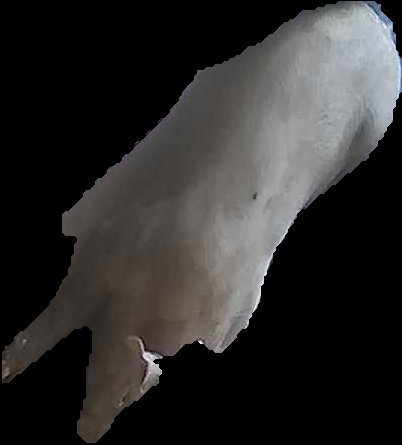 Crop