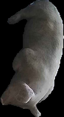 Crop