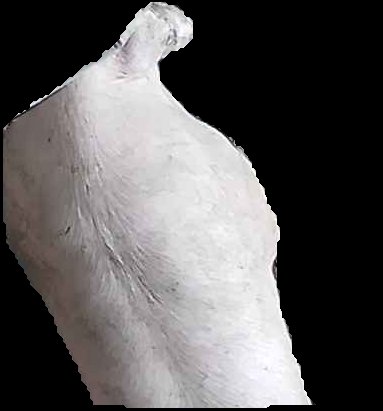 Crop