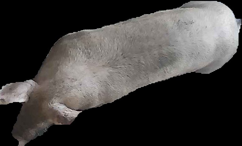 Crop