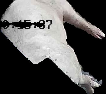 Crop
