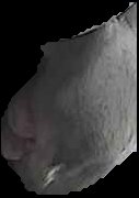 Crop
