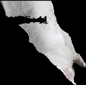 Crop