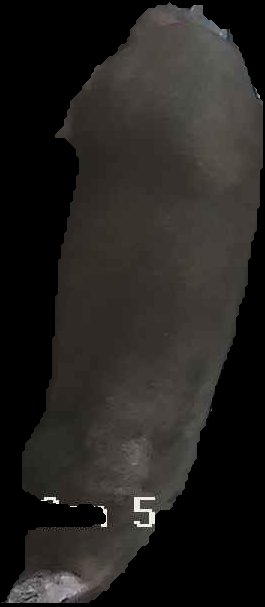 Crop