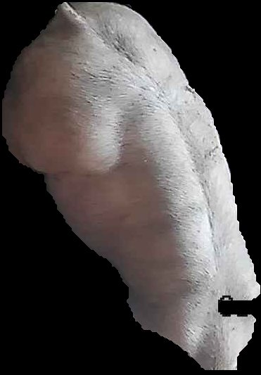 Crop