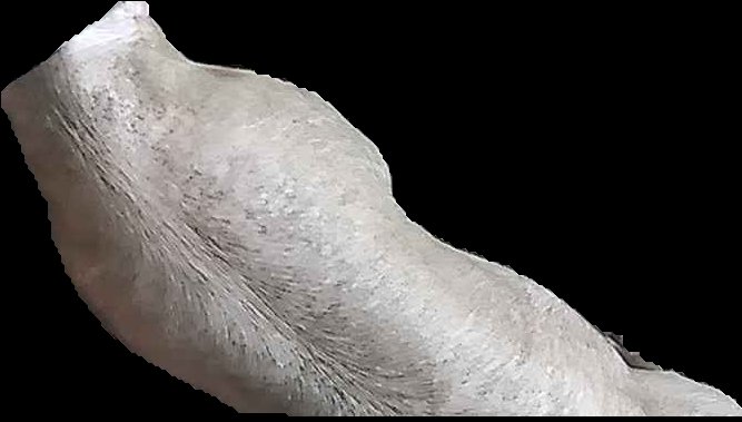 Crop