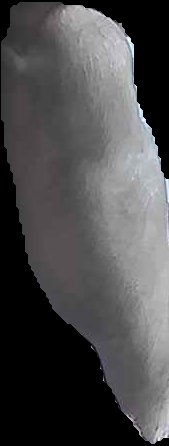 Crop