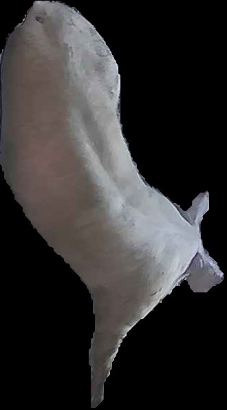Crop
