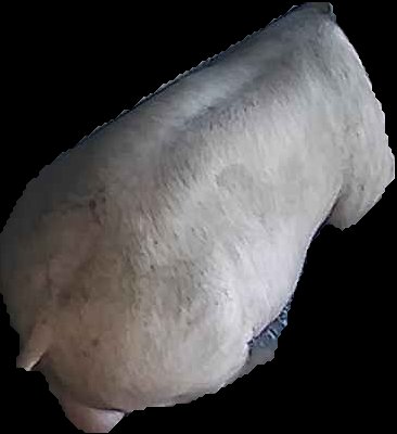 Crop