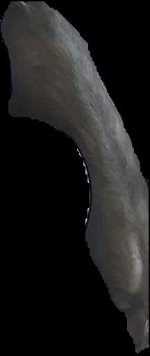 Crop