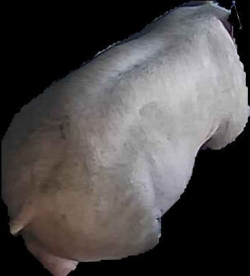 Crop