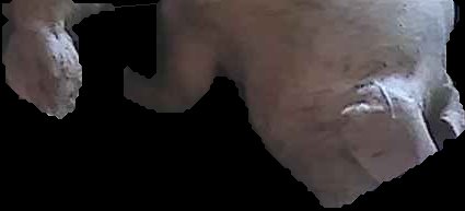 Crop