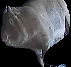 Crop