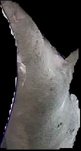 Crop