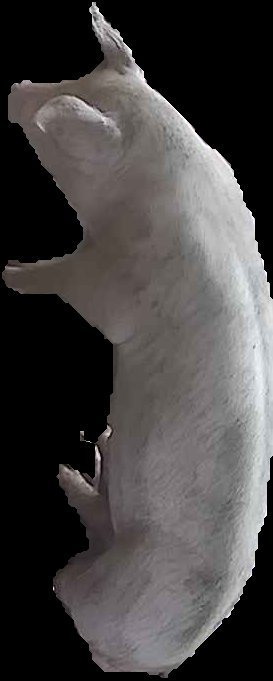 Crop