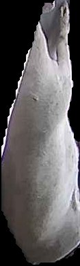 Crop