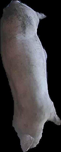 Crop