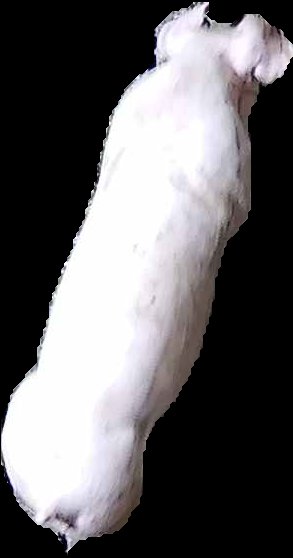 Crop